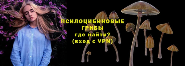 первитин Горняк