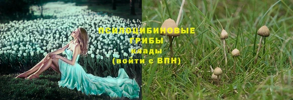 первитин Горняк